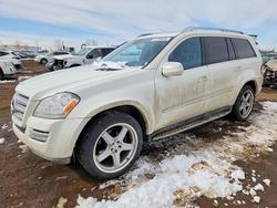 2010 Mercedes-Benz Gl 550 4matic for sale in Rocky View County, AB