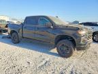 2022 Chevrolet Silverado K1500 Trail Boss Custom