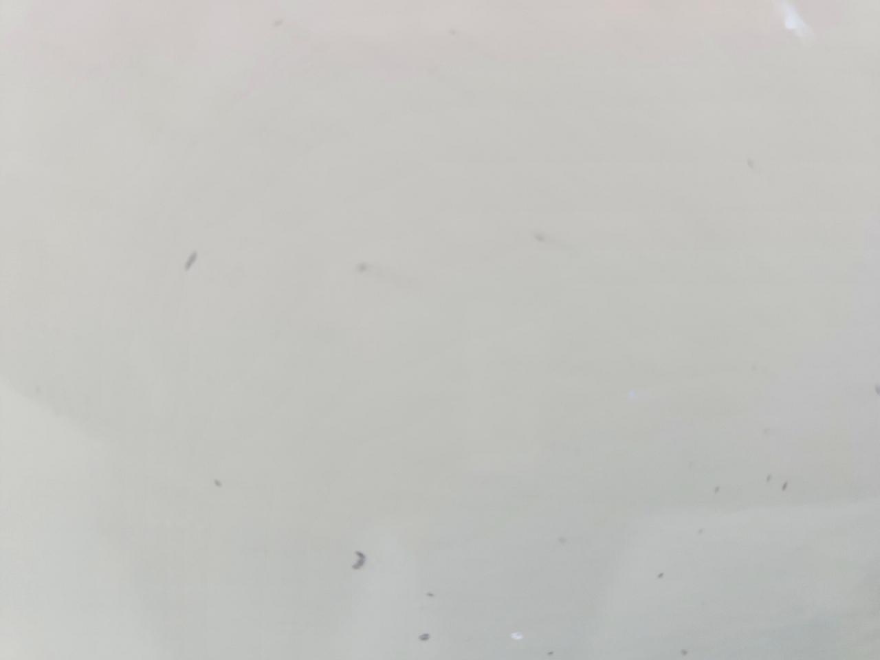 2018 Forest River Premier