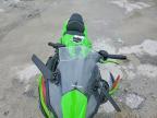 2025 Kawasaki EX650 P