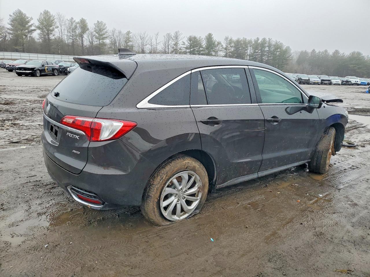 2017 Acura Rdx Technology