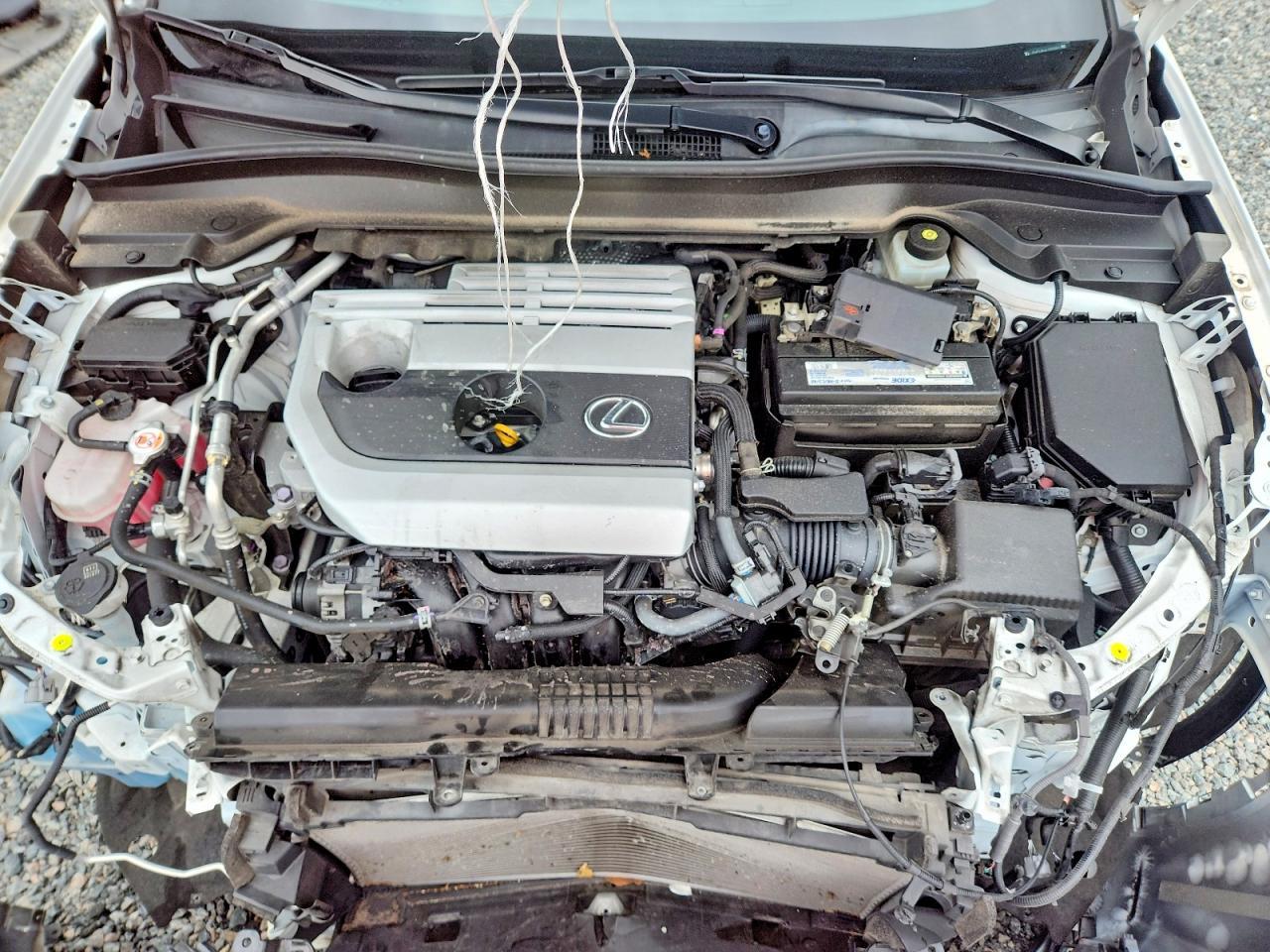 2020 Lexus Ux 200 Base