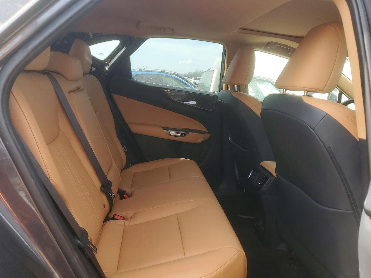 2025 Lexus Nx 350 Premium