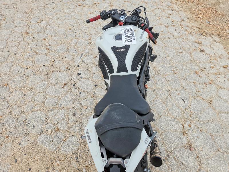 2025 Kawasaki Zx636 k