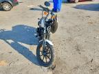 2021 Harley-Davidson XL1200 NS