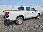 2023 Chev Colorado