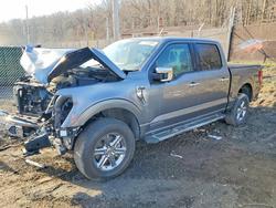 Salvage cars for sale from Copart Baltimore, MD: 2024 Ford F150 XLT