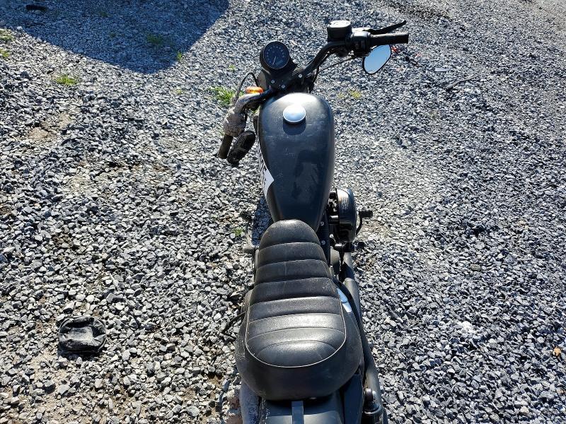 2019 Harley-Davidson XL883 N