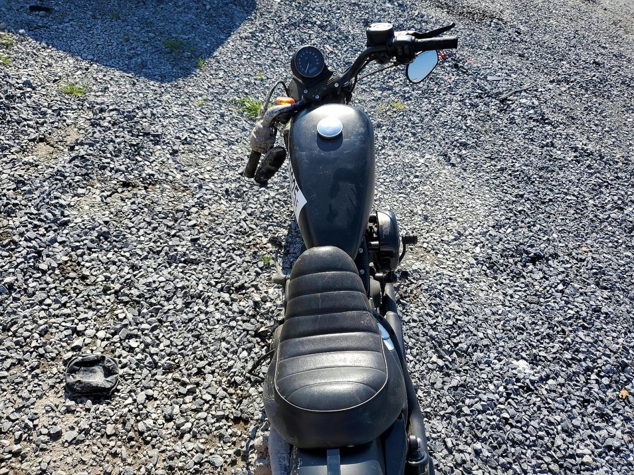 2019 Harley-Davidson XL883 N