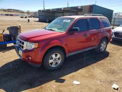 Ford Escape salvage cars for sale: 2012 Ford Escape xlt