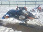2009 Arctic Cat Arctic Cat