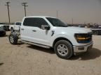 2025 Ford F150 XLT