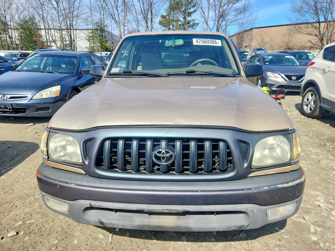 2001 Toyota Tacoma Base