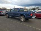 2003 Dodge Dakota Quad Sport