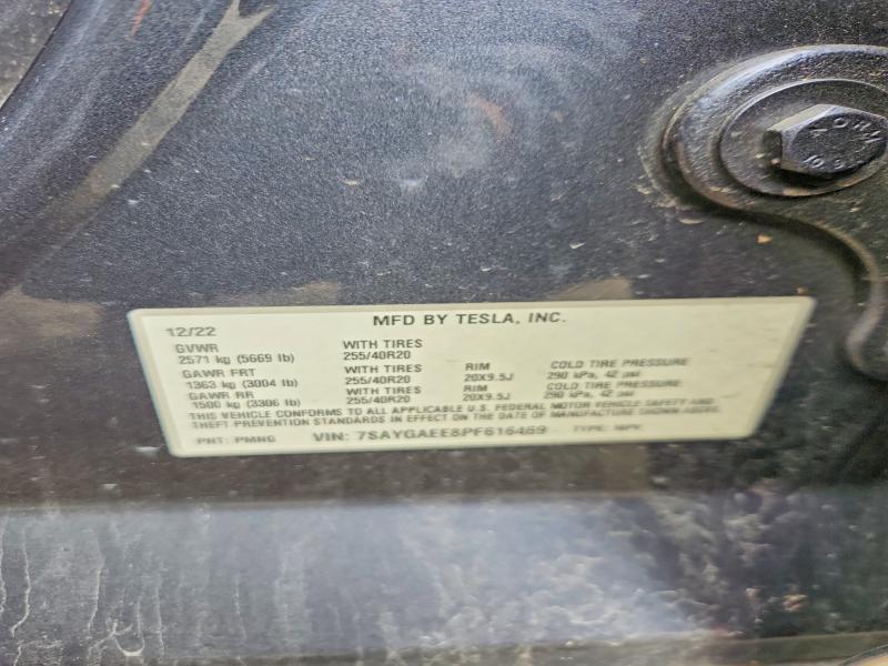2023 Tesla Model y