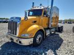2010 Peterbilt 386