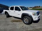 2006 Toyota Tacoma Prerunner V6