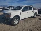 2025 Ford F150 XL