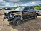2022 Chev Colorado