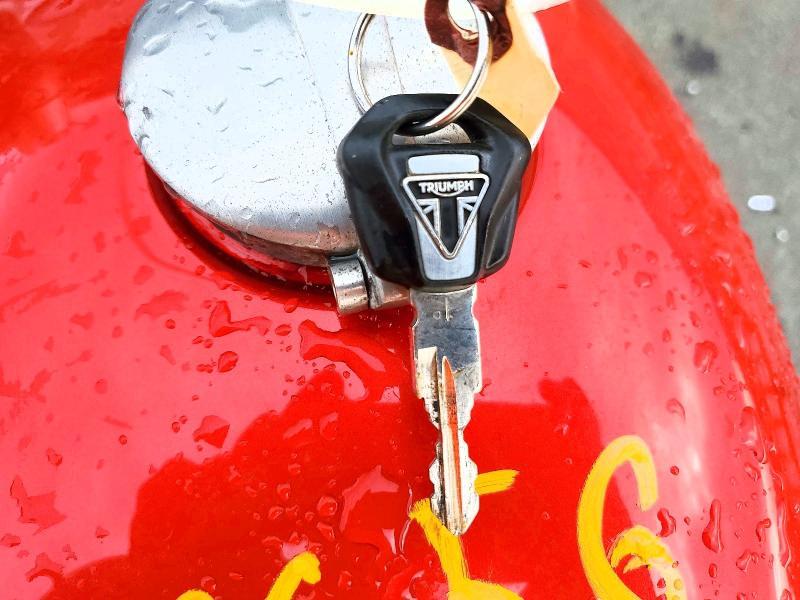 2019 Trum Speed Twin