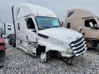 2025 Freightliner Cascadia 126