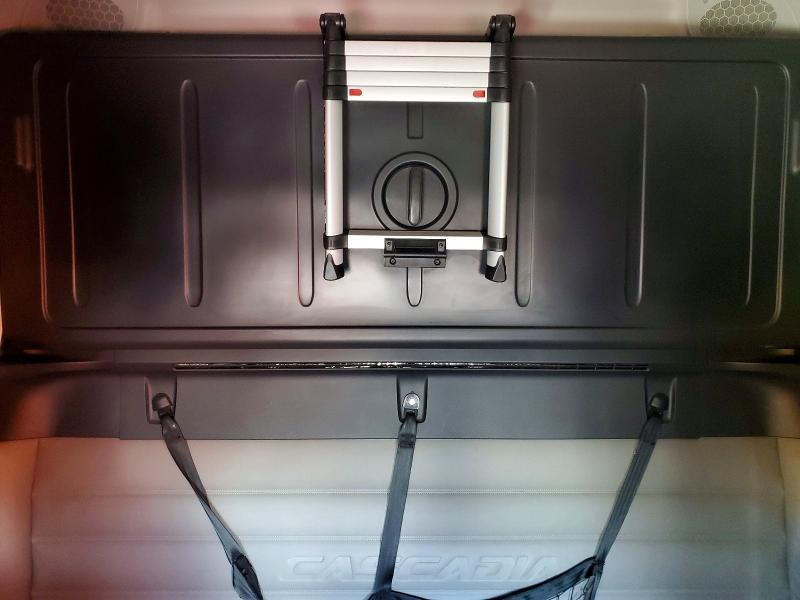 2019 Freightliner Cascadia 126