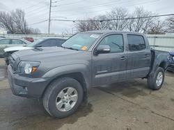 Toyota salvage cars for sale: 2013 Toyota Tacoma V6
