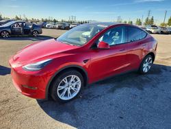Tesla salvage cars for sale: 2023 Tesla Model y