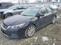 2015 Honda Accord exl for sale in Windsor, NJ
