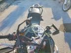 2022 Triumph Tiger 900 Rally