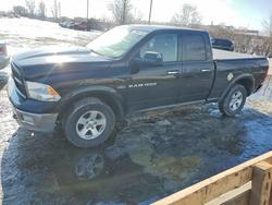 Salvage trucks for sale at Montreal Est, QC auction: 2012 Dodge RAM 1500 SLT