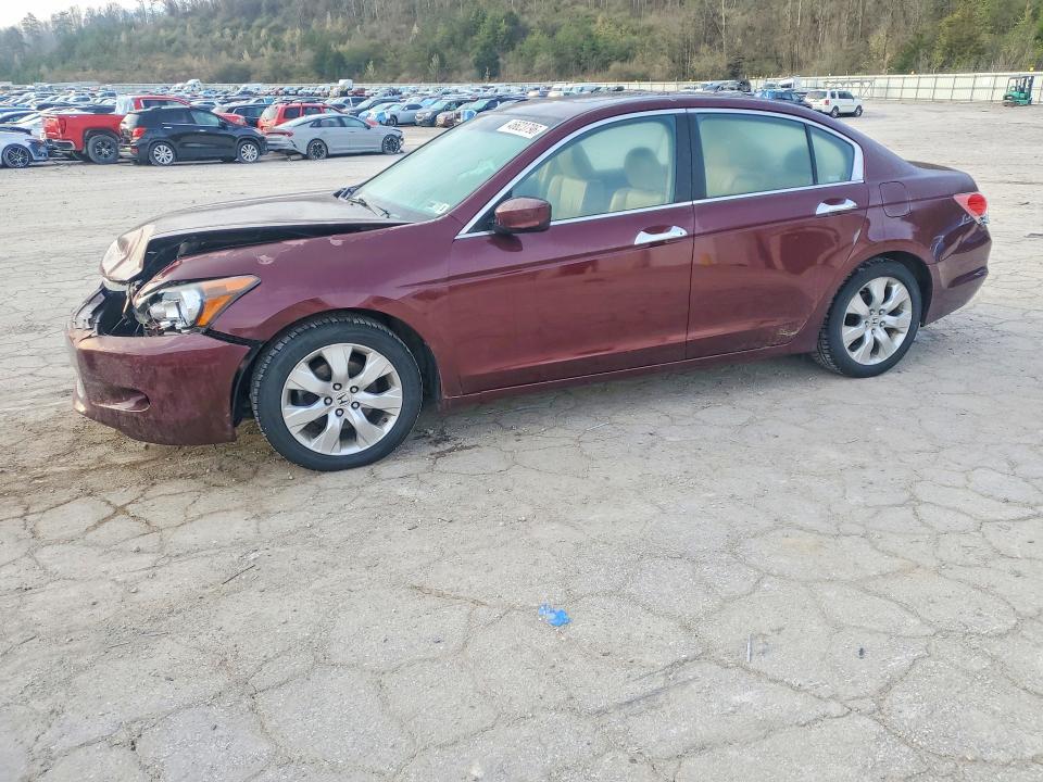 2008 Honda Accord exl
