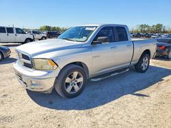 Dodge salvage cars for sale: 2010 Dodge RAM 1500