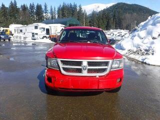 2011 Dodge Dakota SLT