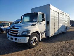 2016 Hino Hino 338-BOX Truck en venta en Brookhaven, NY