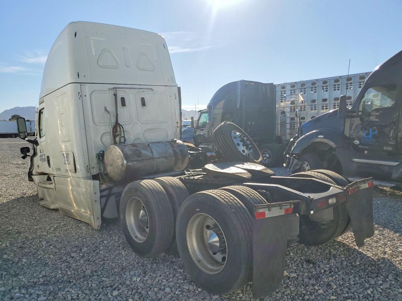2022 Freigliner 2022 Freightliner Cascadia 126 Semi Truck