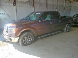 Salvage trucks for sale at Lexington, KY auction: 2012 Ford F150 Supercrew
