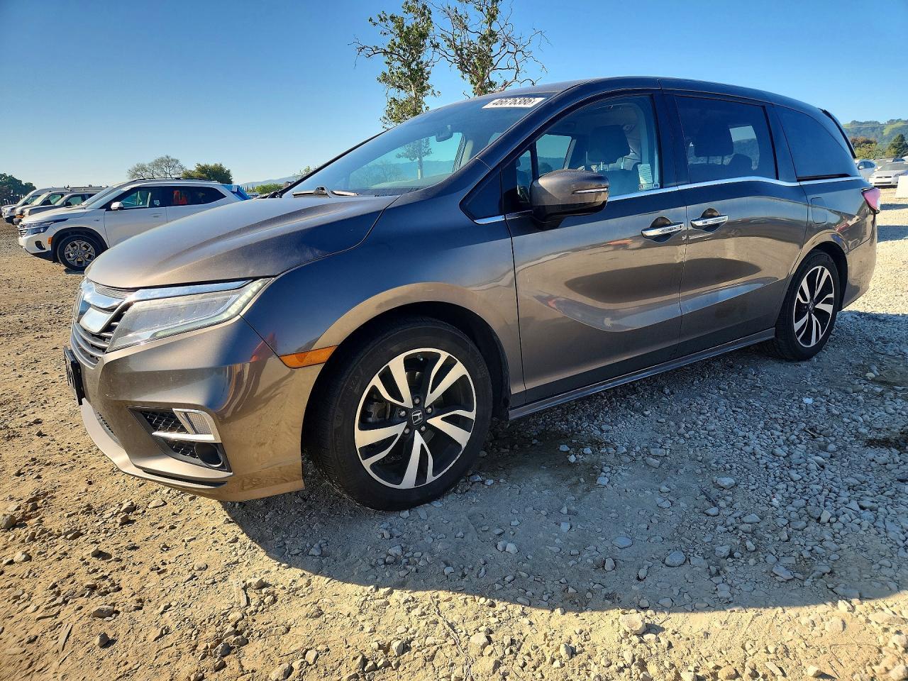 2019 Honda Odyssey Elite