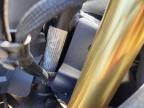 2025 Cf Moto 450SS