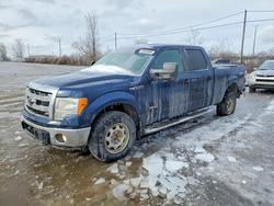 Salvage trucks for sale at Montreal Est, QC auction: 2014 Ford F150 Supercrew