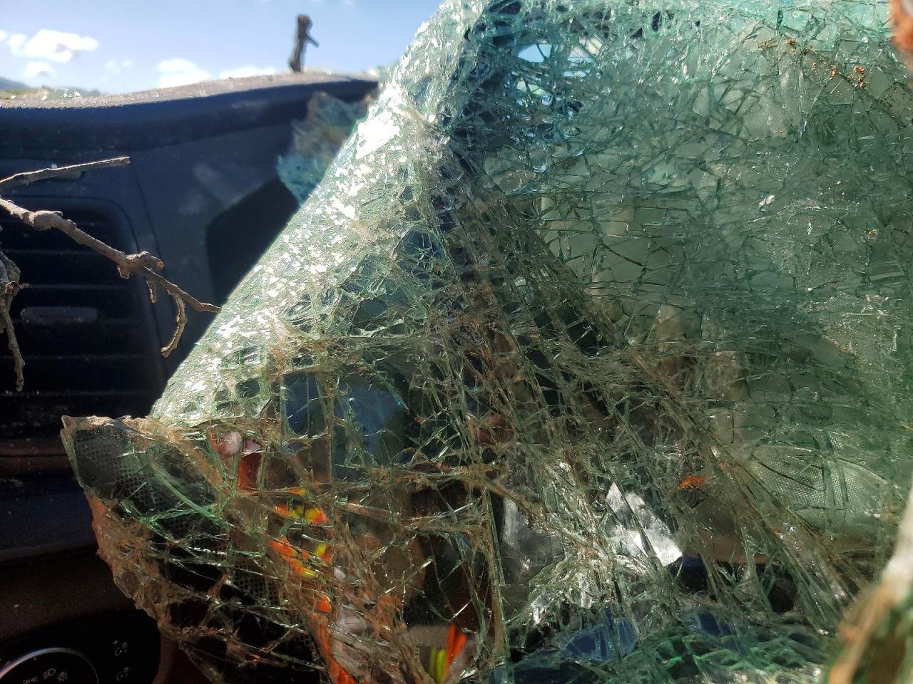 2023 Ford Transit T-350