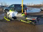 2018 Skidoo Tundra