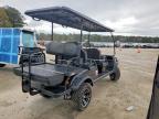 2025 Evolution Golf Cart