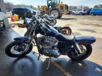 2000 Harley-Davidson XL883 C