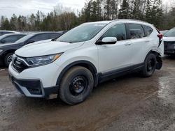 2020 Honda Cr-v exl for sale in Cookstown, ON