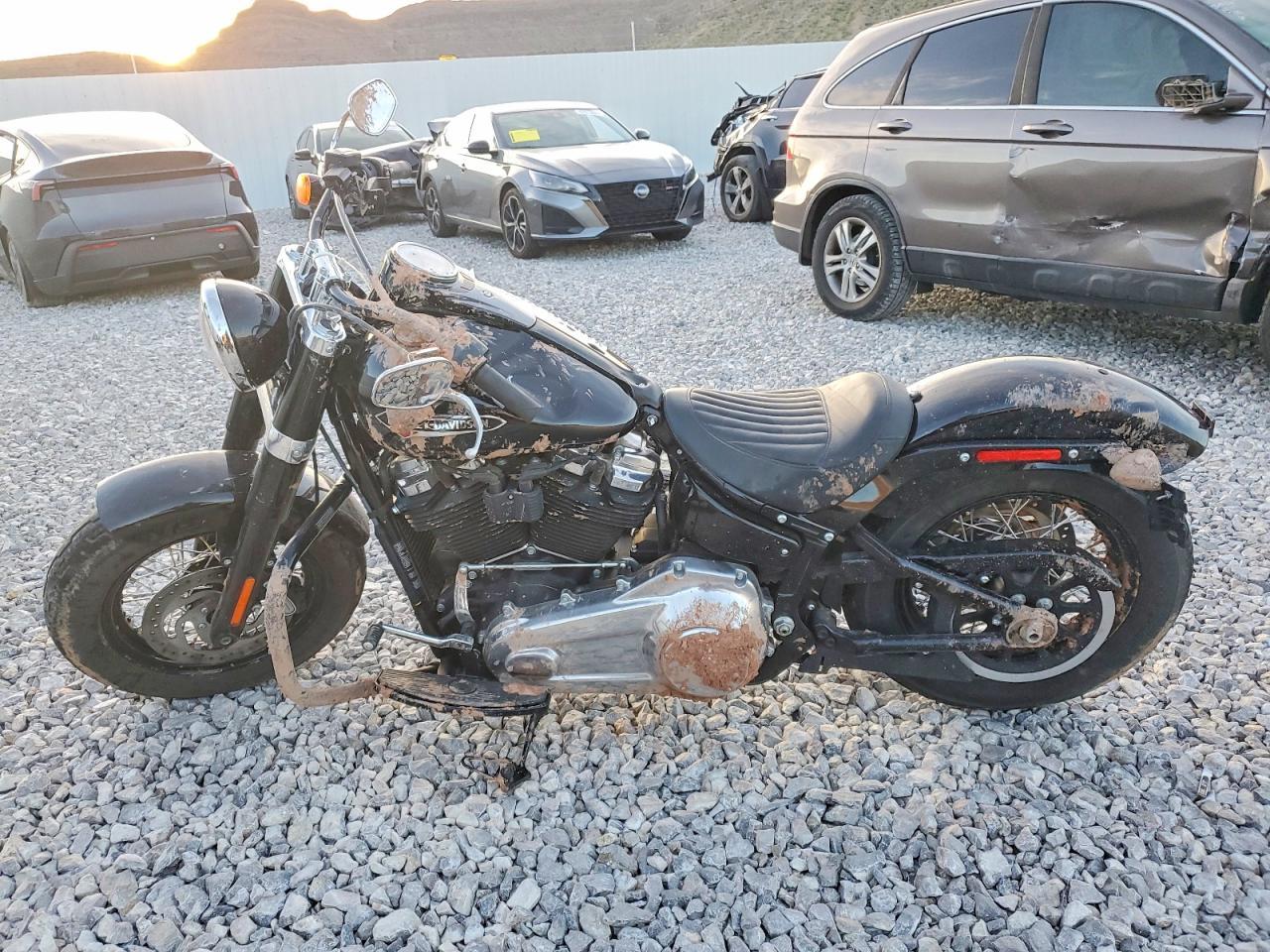 2020 Harley-Davidson Flsl