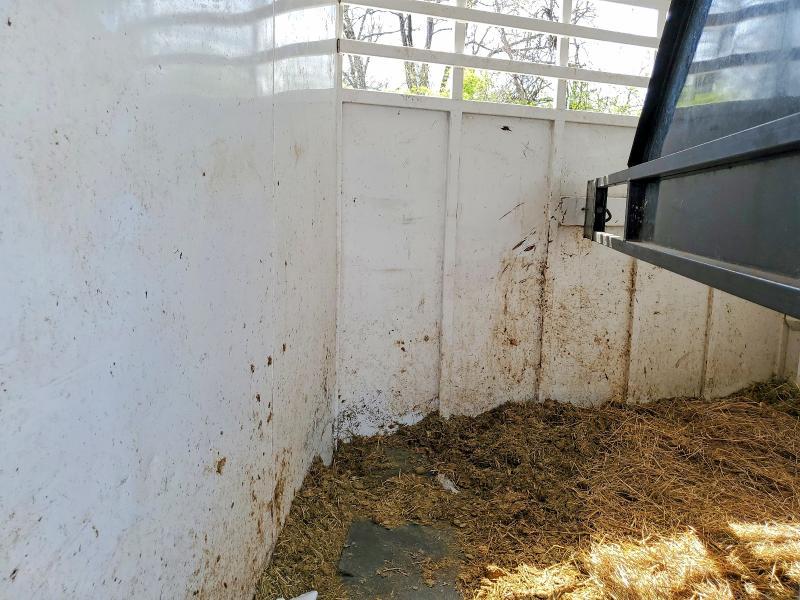 2026 S&S Horse Trailer