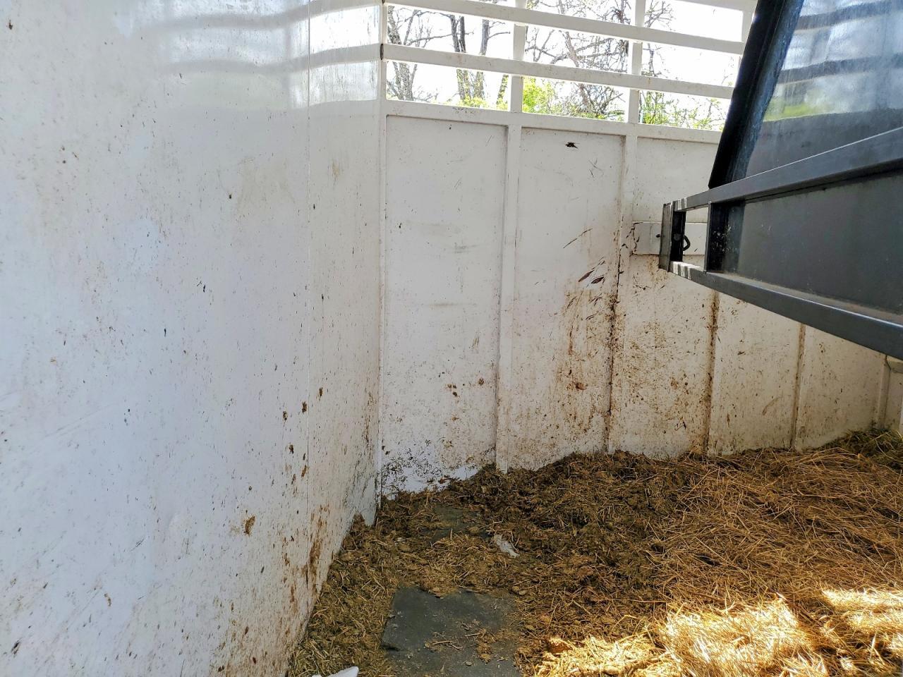 2026 S&S Horse Trailer