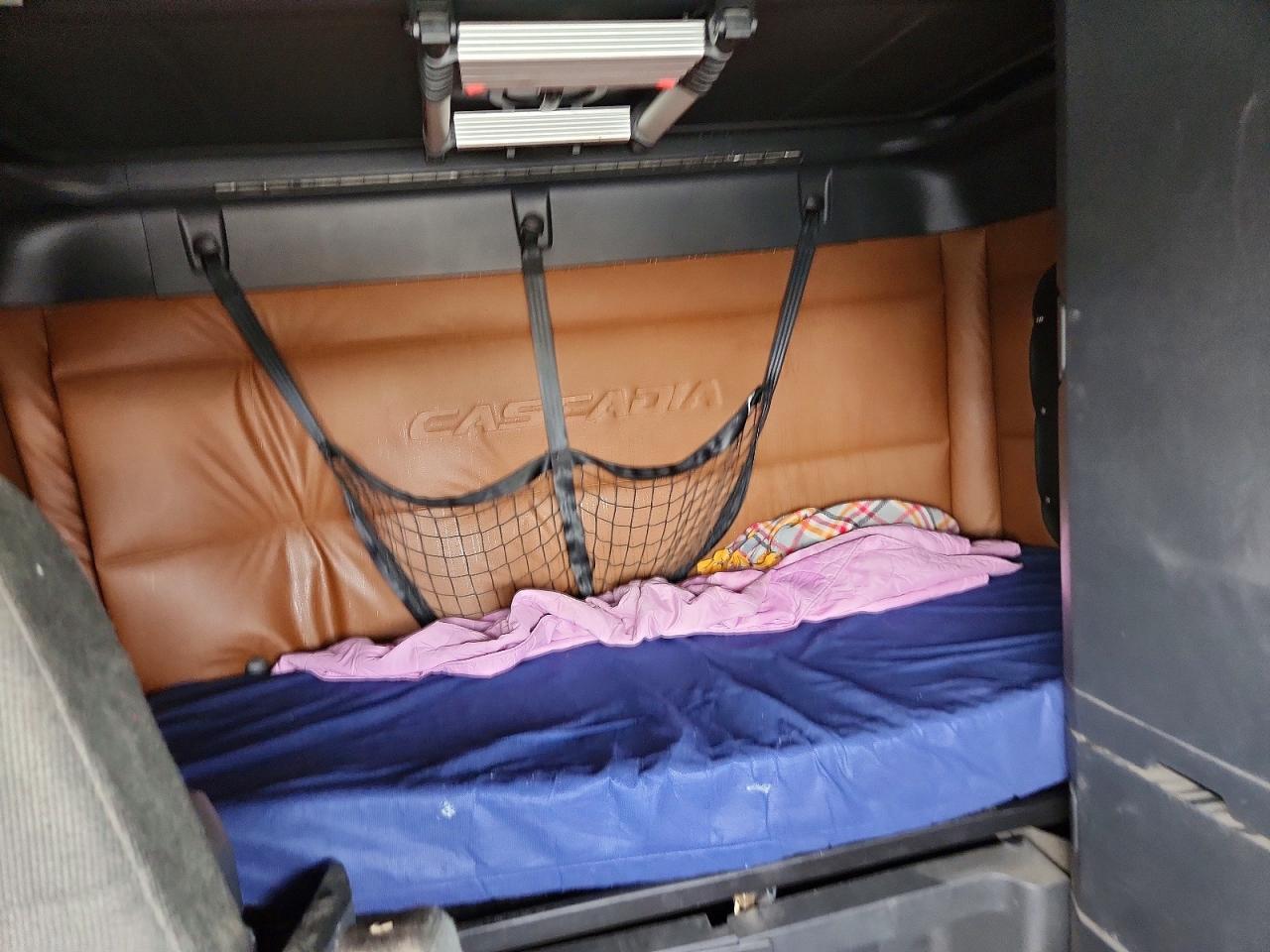 2020 Freightliner Cascadia 126