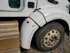 2014 Peterbilt 386